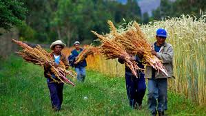 Resultado de imagen para IMAGEnes de LAS INTENCIONES DEL PAPA PARA ABRIL 2015 PEQUEÑOS AGRICULTORES