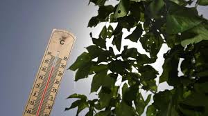 Canicule au Morbihan: Horaires réduits aux déchèteries de Sérent, Ruffiac et Carentoir - Imagen principal del artículo