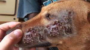 Hello @everyone Join us for more. Thanks and have a nice day ...