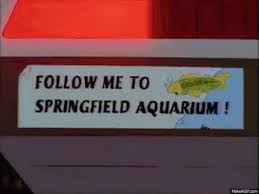 Image result for troy mcclure fish