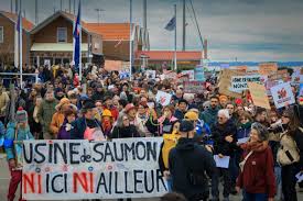 Le projet d'une méga ferme d'élevage de saumons contesté par des associations, malgré l'avis favorable d'une commission d'enquête