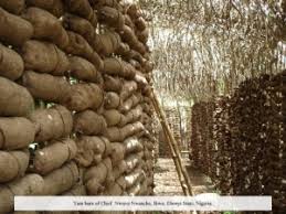 Image result for NEW YAM  pictures festival