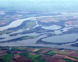 Afbeelding van Biesbosch, Brabant