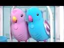 2 parrots singing and talking dolls for toddlers