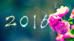 Image result for happy new year 2017 whatsapp dp