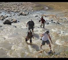 Image result for organisms and their environment