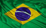 Image result for brazil flag