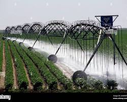 Image of Texas landscape with a farmer irrigating crops