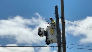 Michigan Storms Shatter Farms and Communities, but Resilience Prevails