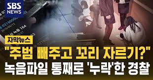가해자
