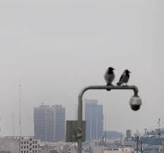 ترک فعل‌های خاکستری