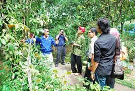 Image result for upm taman herba