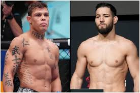 Meta MMA - News update