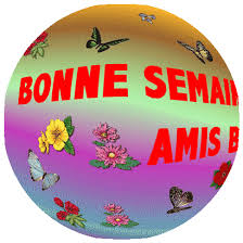 Résultat de recherche d'images pour "gif bonne semaine humour"