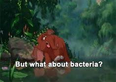 Tantor on Pinterest | Tarzan, Tarzan Quotes and Movie via Relatably.com