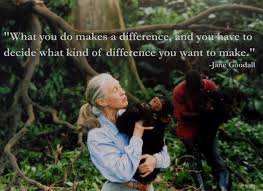 Jane Goodall Quotes That Will Inspire You via Relatably.com