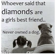 Quote for dog lovers | Puppies &amp; dogs | Pinterest | Dog Lovers ... via Relatably.com