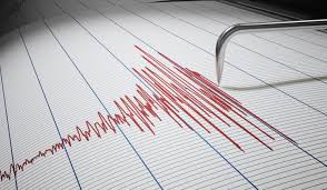 Magnitude 4.4 quake shakes Alamo, Nevada: USGS