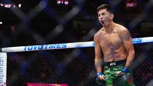 MMA Junkie - News update