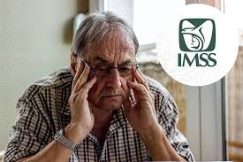 Suspension Pensiones Imss Mayo 2026