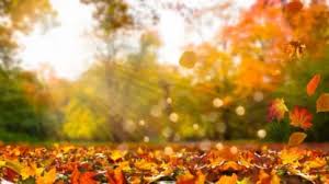 Equinoccio de otoño en Argentina: cuándo ocurre y cómo afecta el clima