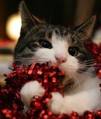 Image result for cats and christmas garland