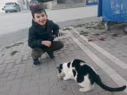 Çubuk Şehit Emre Tunca ilkokulu 1/A sınıfı minik öğrencileri, öğretmenleri Derya Ergin rehberliğinde 4 ekim hayvanları koruma gününde çevrelerine örnek olacak etkinlikler düzenlediler. Kedileri beslediler, kuşlarla oyunlar oynadılar, köpekleri sevdiler ...