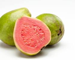 Image of Guava