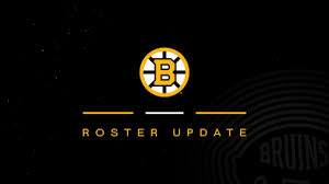Bruins Trim Roster: Who's Heading to Providence? - Imagen principal del artículo