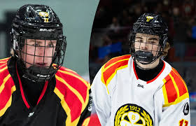 hockeysverige.se - News update