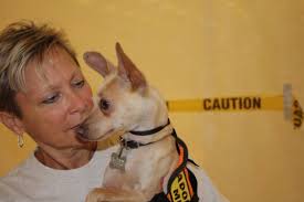 Judy Gunn (Volunteer) and Chief Diamond Phillips (Chihuahua/Italian Greyhound Mix) Credits: Eric Paragallo - best_ced92274e3329126ec51_MT_P_042