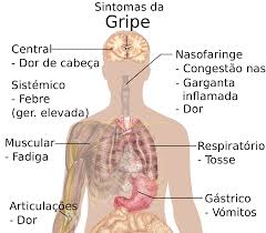 Resultado de imagen para gripe