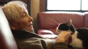 News source: Yahoo!ニュース