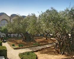 Image of Garden of Gethsemane Jerusalem