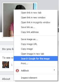 Image result for reverse image search