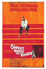 sweet bird of youth (richard brooks, usa 1962) | Remember it for later