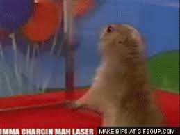 Bildergebnis für shoop da whoop