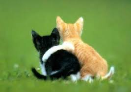 10 Inspiring Quotes for Kids About Animals and Pets | Inspire My Kids via Relatably.com
