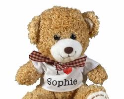 תמונה של fluffy teddy bear plush toy photography for sublimation printing white background