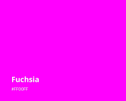 Image of Fuchsia color