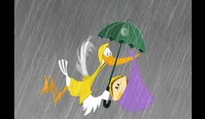 Resultado de imagem para Cegonhas com BB