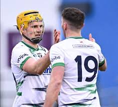 Limerick Senior Hurling Stars Prepare for Crucial Fitzgibbon Cup Semi-Final Clash