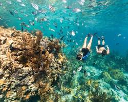 Snorkeling and Diving in Exuma Cays