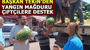 Bilecik Yarın Gazetesi - News update