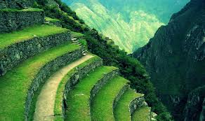 Image result for machu picchu