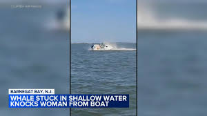 6abc Philadelphia - News update