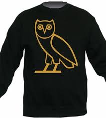 Image result for drake ovo jacket