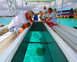 Glass bottom boat in Bali的圖片