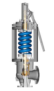 Steam Safety Valves
