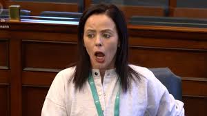 Senator says tricolour makes her “terrified” at protests - Gript